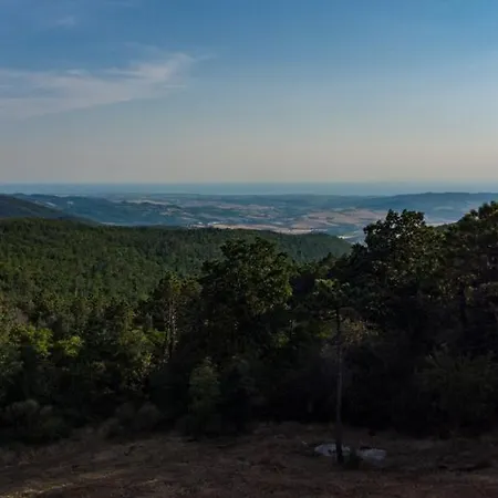 Фермерский дом Agriturismo Pian Del Pruno Санта-Луче