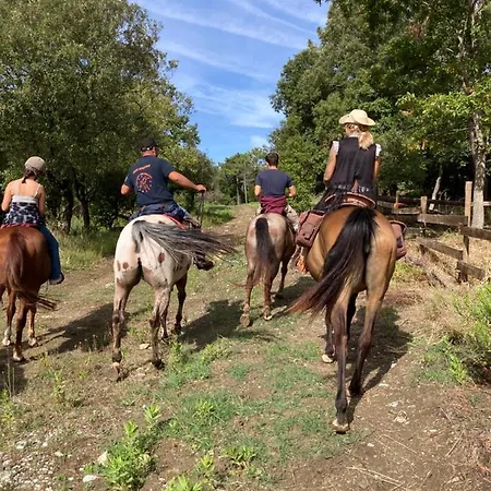 Agriturismo Pian Del Pruno